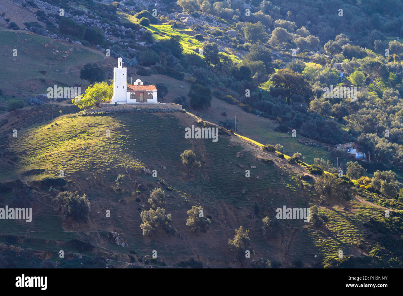 Moschee auf dem Hügel Stockfoto