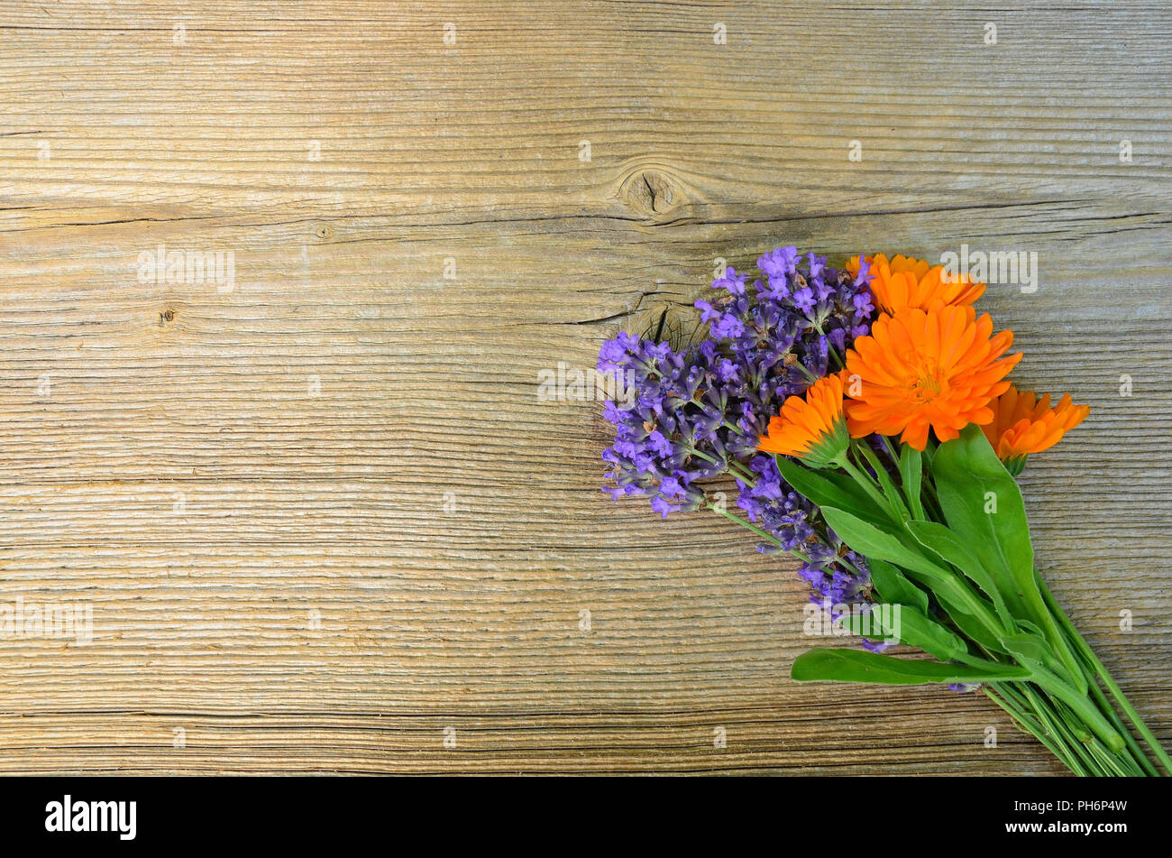 Lavendel Kräuter auf Holzbrett Stockfoto