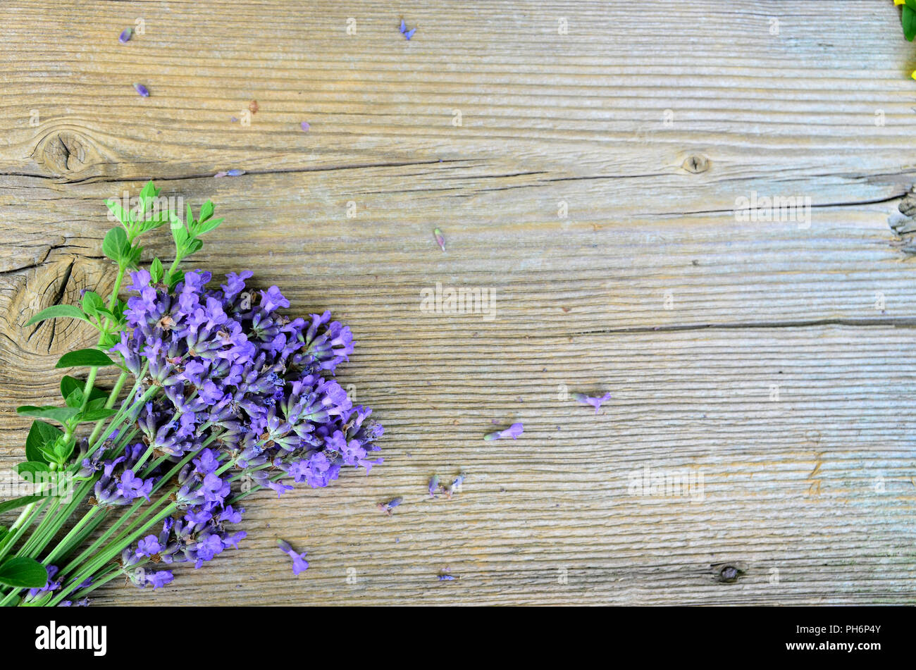 Lavendel Kräuter auf Holzbrett Stockfoto