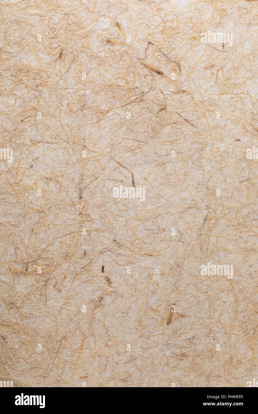 Handgeschöpftes Papier Textur mit pflanzlichen Fasern wie Stroh. In zarten Farbtönen, Gelb, Orange, Braun und Vanille. Stockfoto