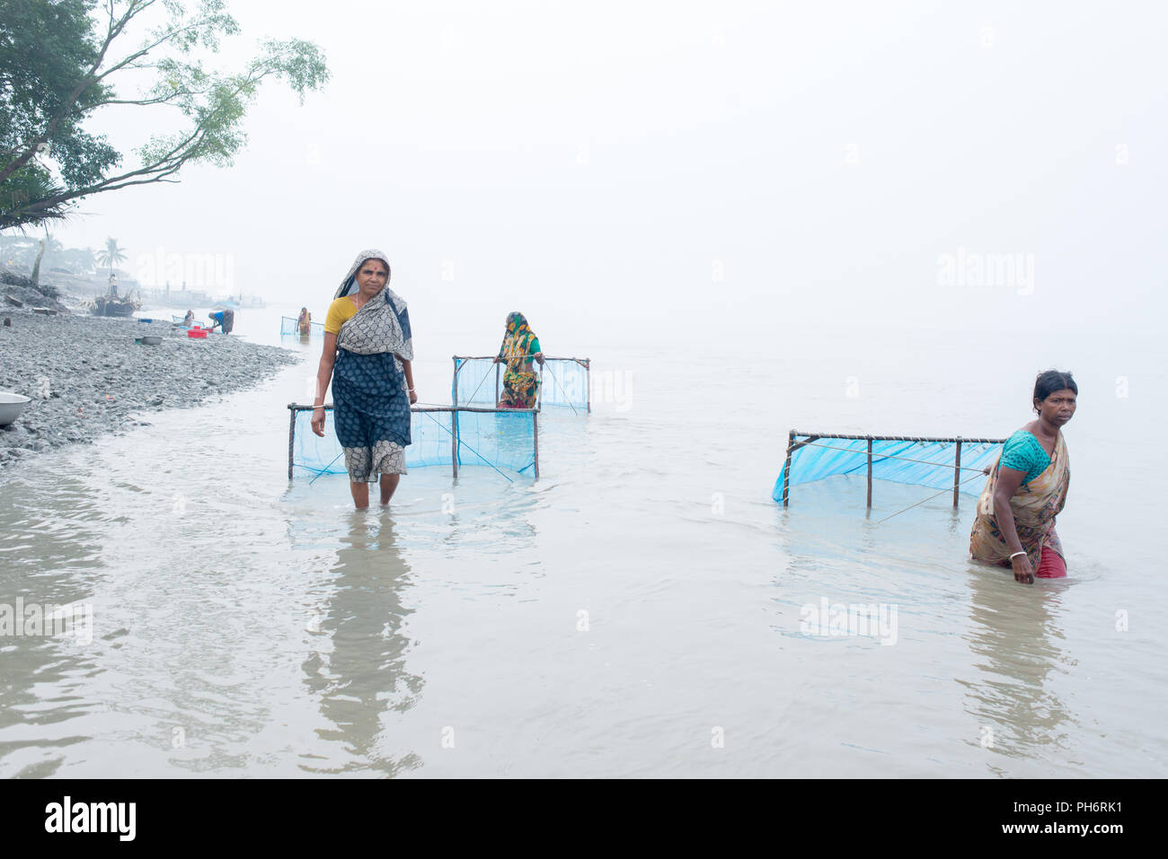 Shripm Larven Fänger im Fluss, pasur Dakop, Khulna, Bangladesh Stockfoto