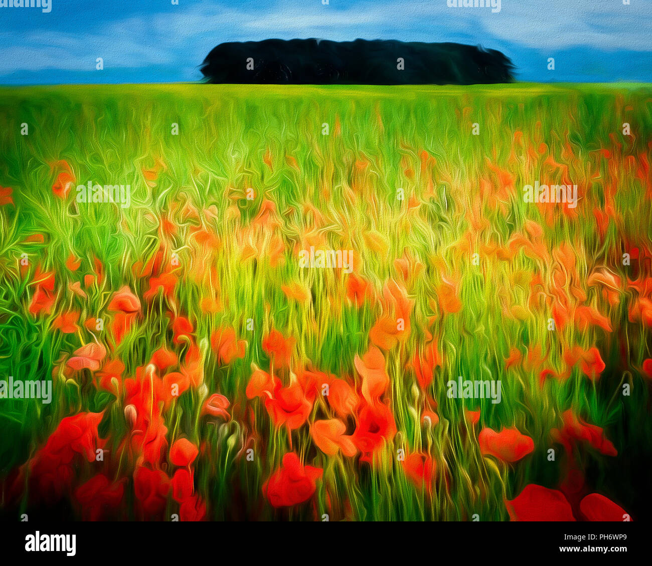 Digitale Kunst: Mohnblumen der Cotswolds Stockfoto