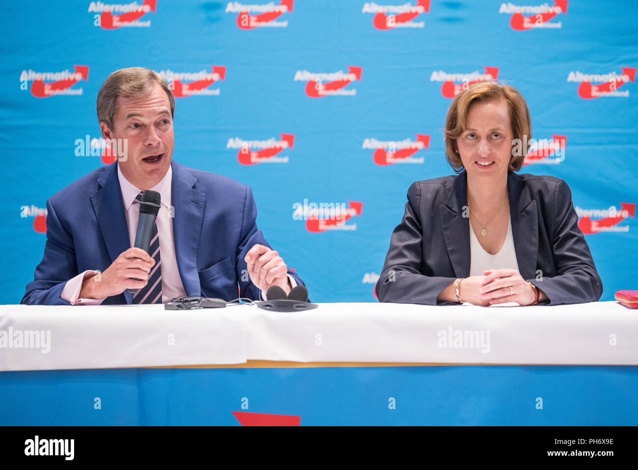 Nigel Farage bei einer AfD-Veranstaltung in Berlin Spandau im September 2017 Stockfoto
