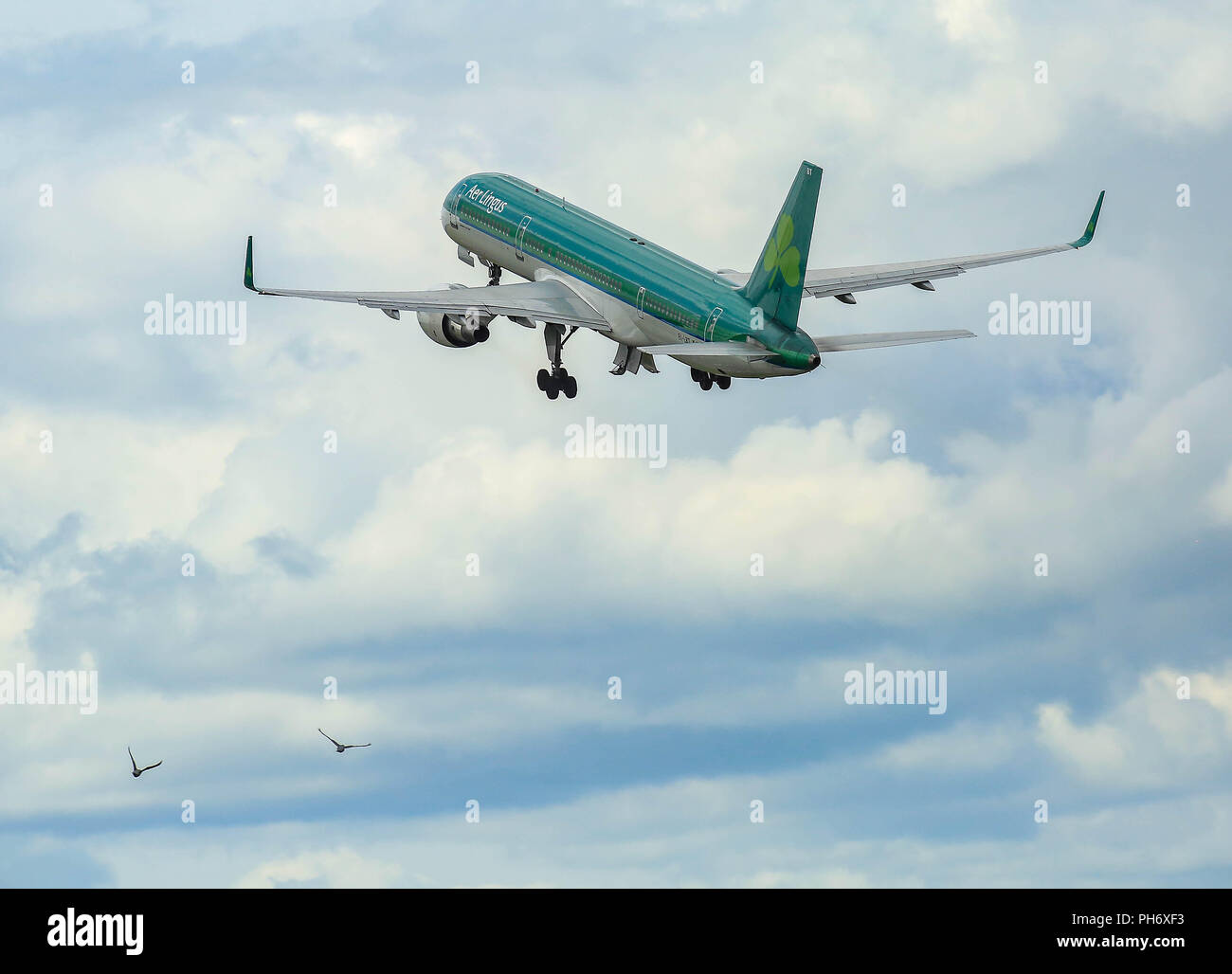 Flughafen Dublin Landungen und Starts. Stockfoto
