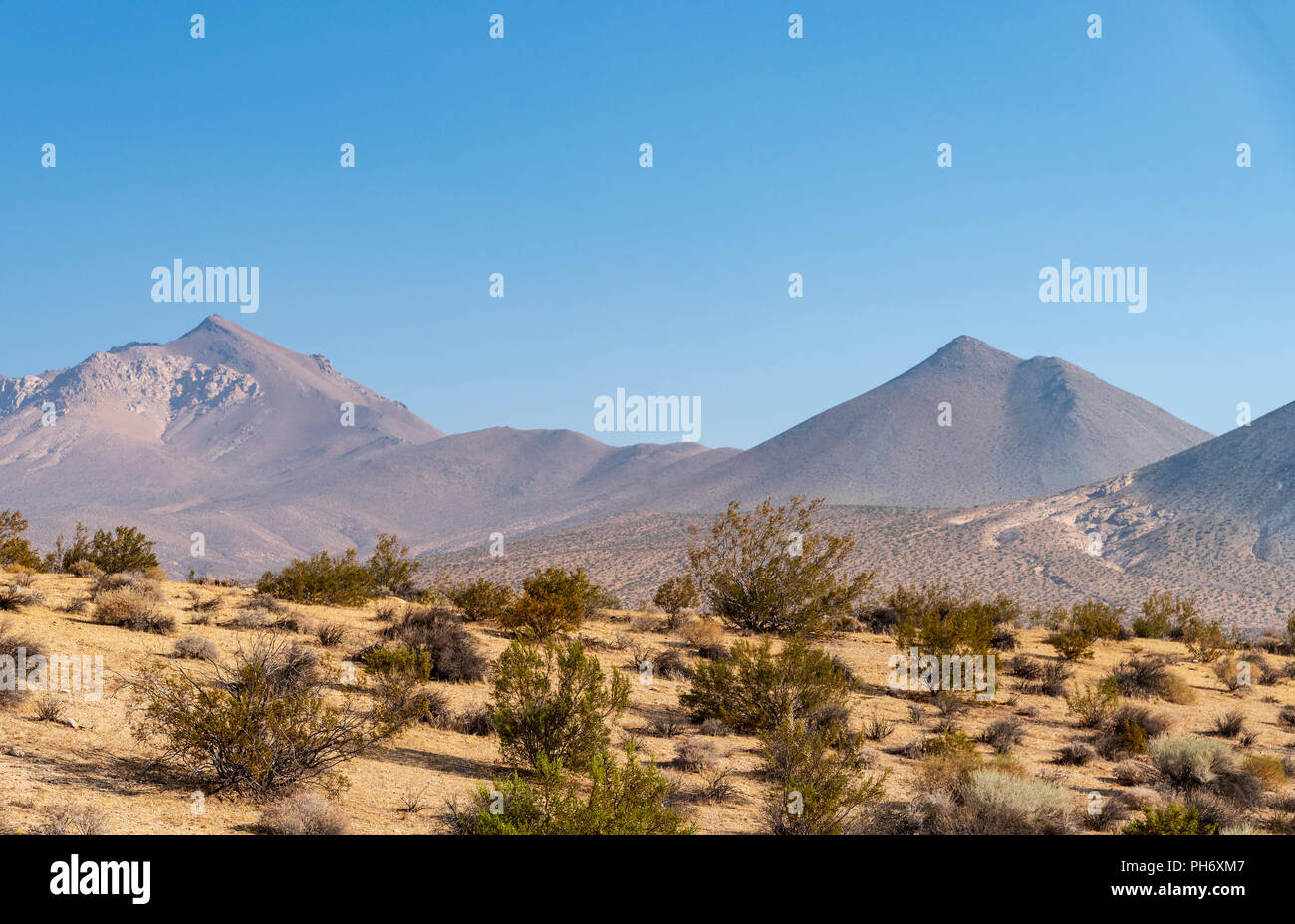 Der kalifornischen Mojave-Wüste unter strahlend blauem Himmel in der Nähe von Walker Pass in Kern County. Stockfoto