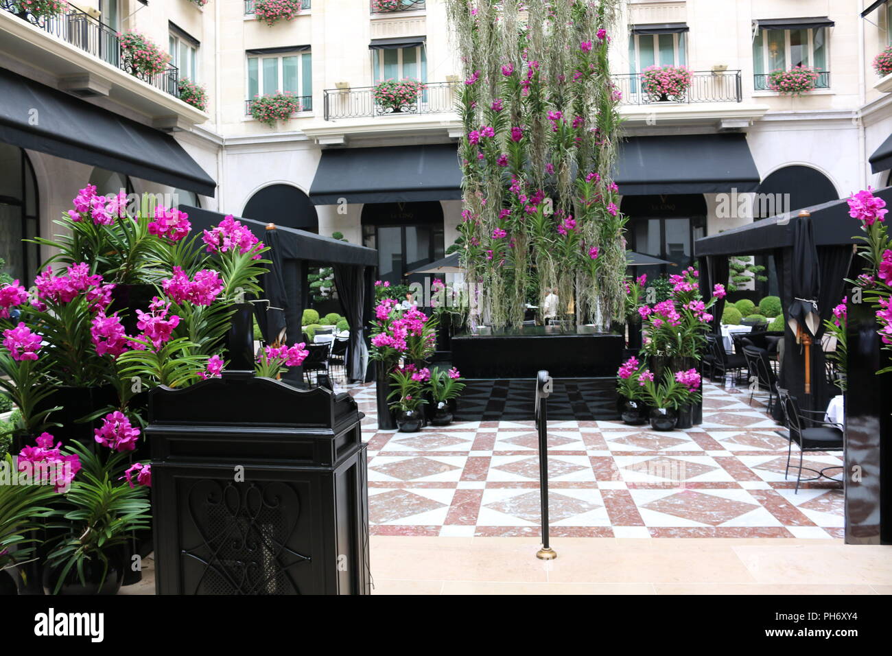 Hotel Courtyard in Paris, Vanda orchid Anzeige Stockfoto