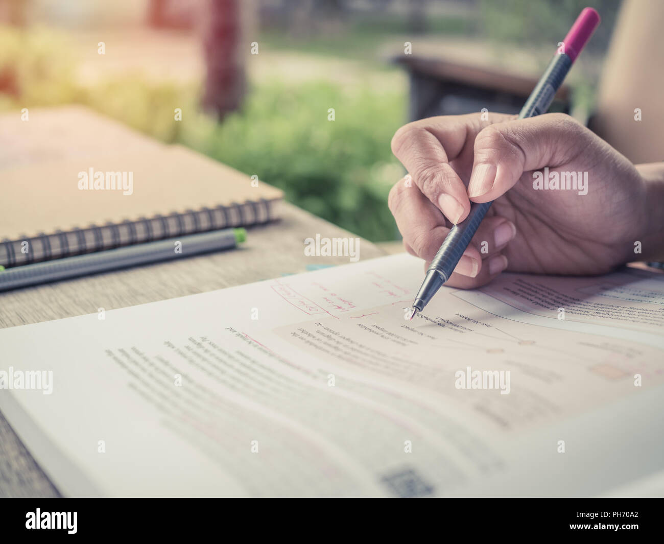 Close-up Hand mit einem rosa Stift und Lesen Buch. Lernen und merken Mit konzentrieren sich auf ein Buch über Holzschreibtisch. Stockfoto