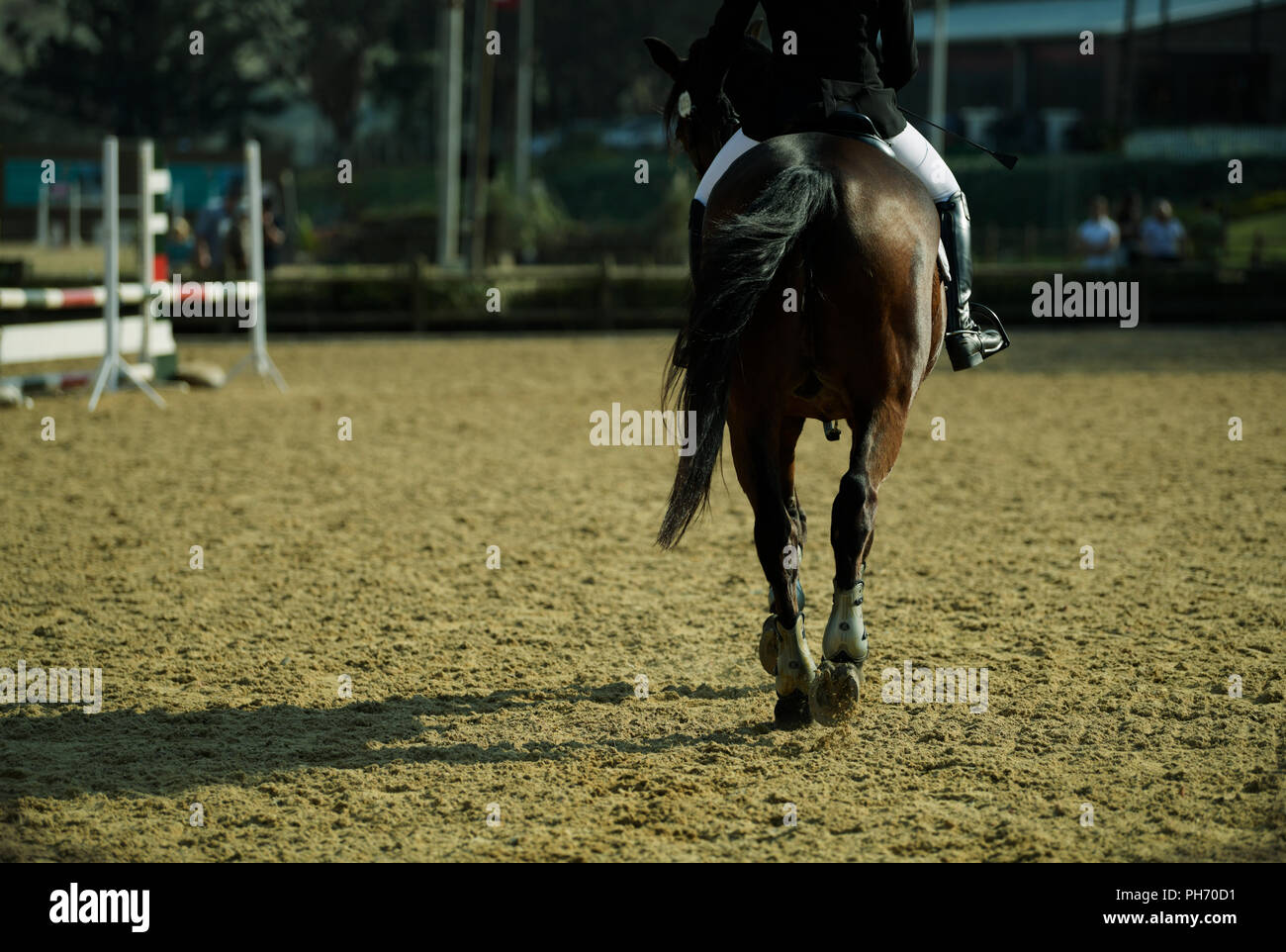 Durban, KwaZulu-Natal, Südafrika, einzelne Reiter auf Springreiten sport Horse, 2018 Winter Warmer Eventing zeigen an shongweni Club, Tal der 1000 Hügel Stockfoto