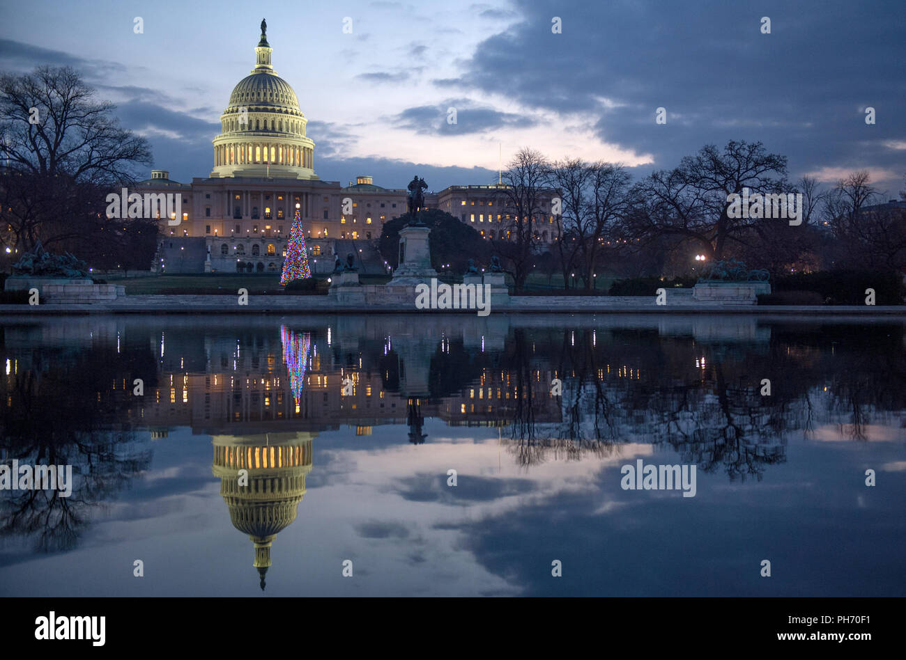 U.S. Capitol und Weihnachtsbaum Dezember 2013 Stockfoto