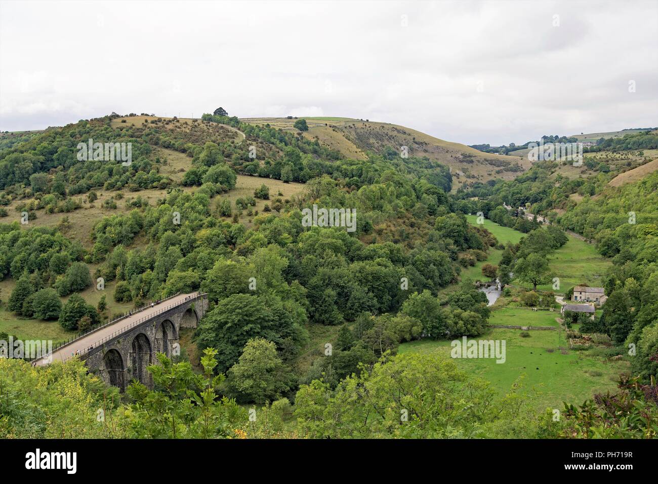 Die reiche und fruchtbare Vielfalt der Monsal Trail zu erfassen, in der Peak District in Derbyshire. Stockfoto