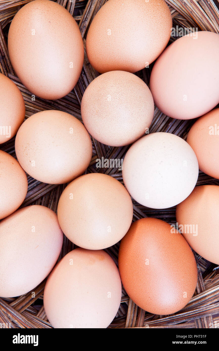 Frischen Eiern in einem Korb Stockfoto