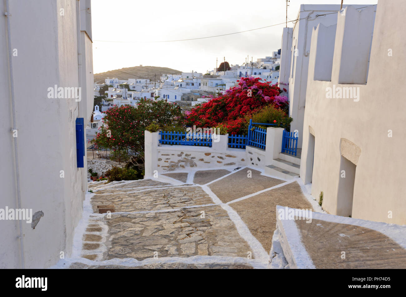 Weiße Häuser mit blauen Blumen Zäune in Amorgos Insel Stockfoto