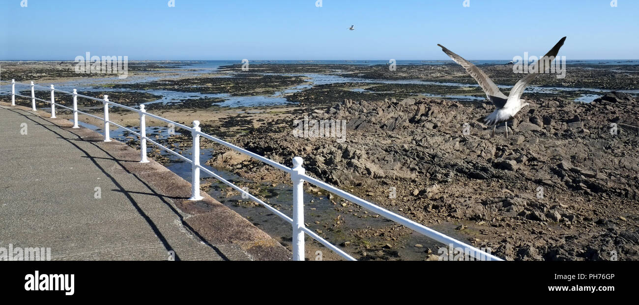 Ebbe in der Bucht von Grouville Stockfoto