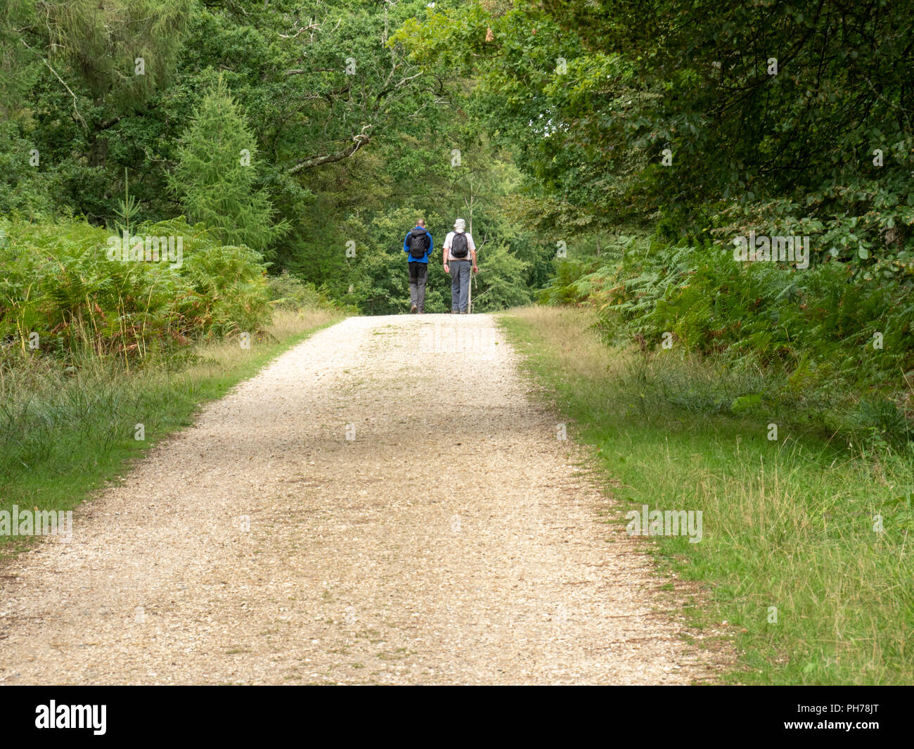 Zwei erwachsene Männer wandern im New Forest Hampshire England Großbritannien Stockfoto