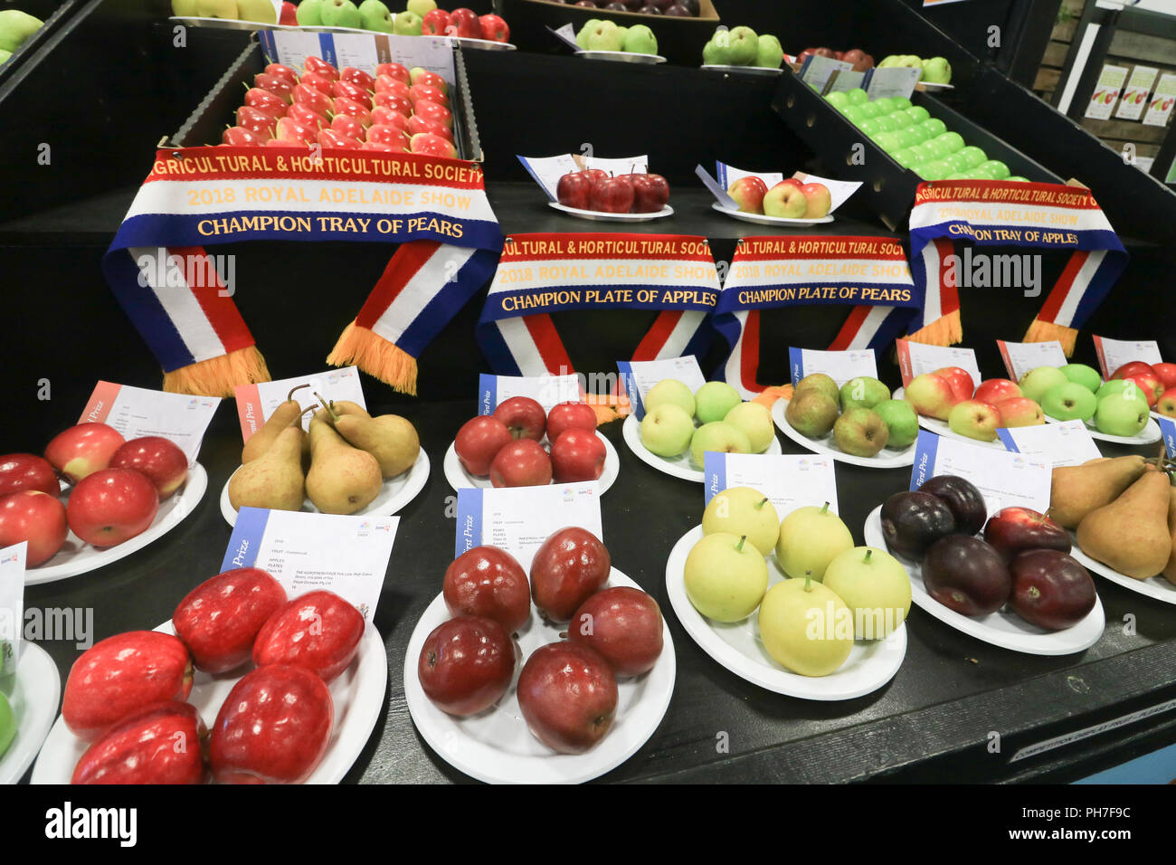 Adelaide Australien. 31. August 2018. Das Royal Adelaide Show, eine jährliche landwirtschaftliche Veranstaltung von der Königlichen landwirtschaftlichen und gartenbaulichen Gesellschaft in South Australia, wo "Stadt trifft Land' und die ländliche Industrien von Australien gezeigt werden kann und feiert einmal im Jahr öffnet sich an der Adelaide Showgrounds ab 31. August-9. September zur Schau stellen, lokale Produkte, kochen, Tiere, Fahrten, Essen und Unterhaltung und urteilend Vieh Credit: Amer ghazzal/Alamy leben Nachrichten Stockfoto