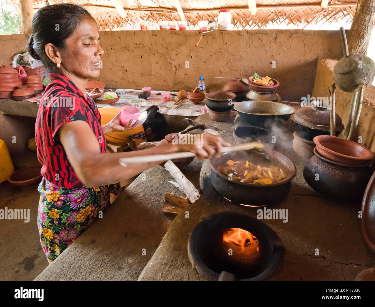 Horizontale Bildnis einer Dame prepping traditionelle Sri Lankische Küche. Stockfoto