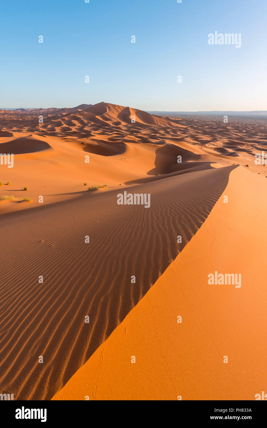 Rote Sanddünen in der Wüste, dünenlandschaft Erg Chebbi, Merzouga, Sahara, Marokko Stockfoto