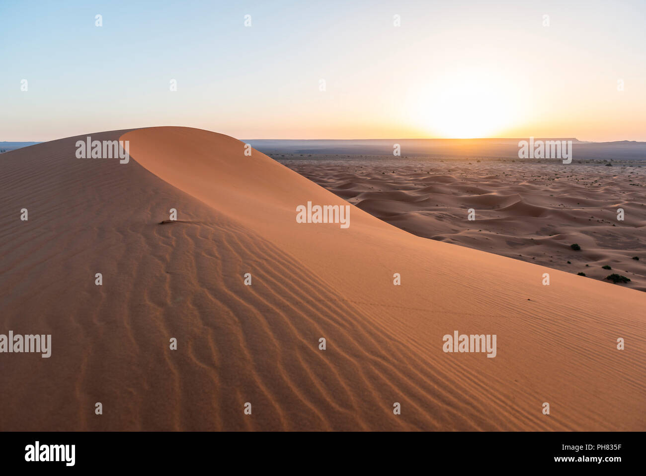 Sunrise, Sanddünen in der Wüste, dünenlandschaft Erg Chebbi, Merzouga, Sahara, Marokko Stockfoto
