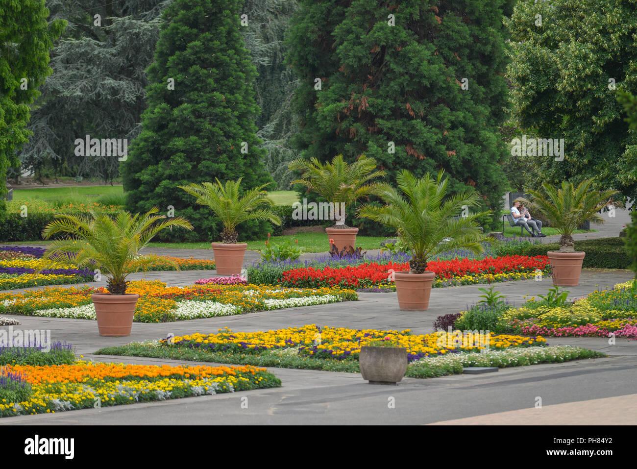 Rheinpark Fotos und Bildmaterial in hoher Auflösung Alamy