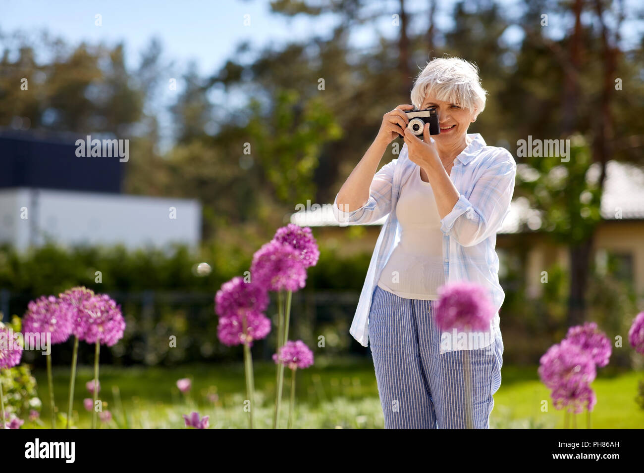 Ältere Frau mit Kamera Blumen fotografieren Stockfoto