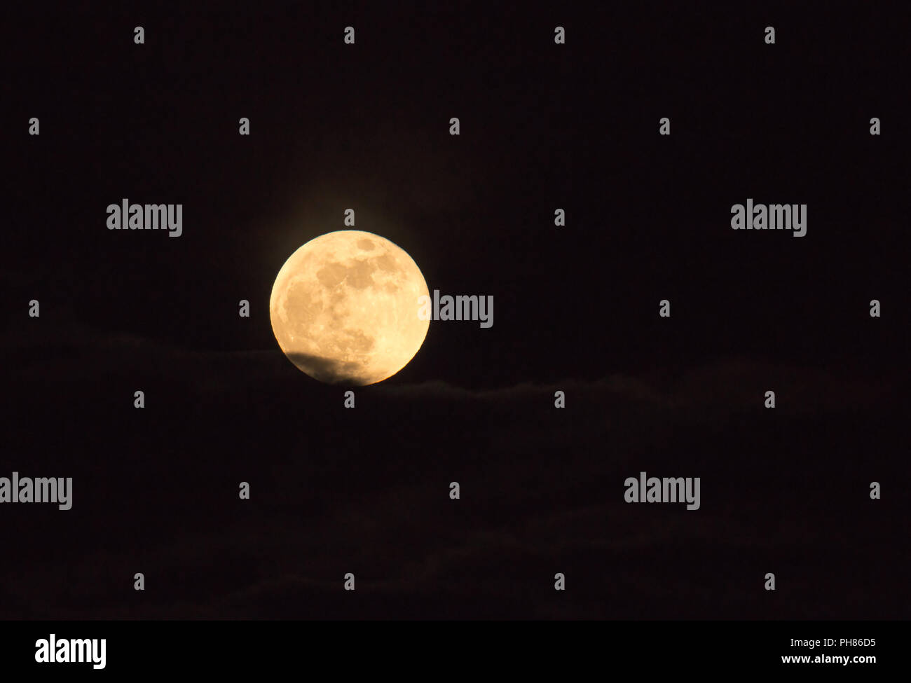 Vollmond, ein Blue Moon, Blut Mond und auch ein Supermoon, steigende hinter Cloud am 31. Januar 2018 Stockfoto