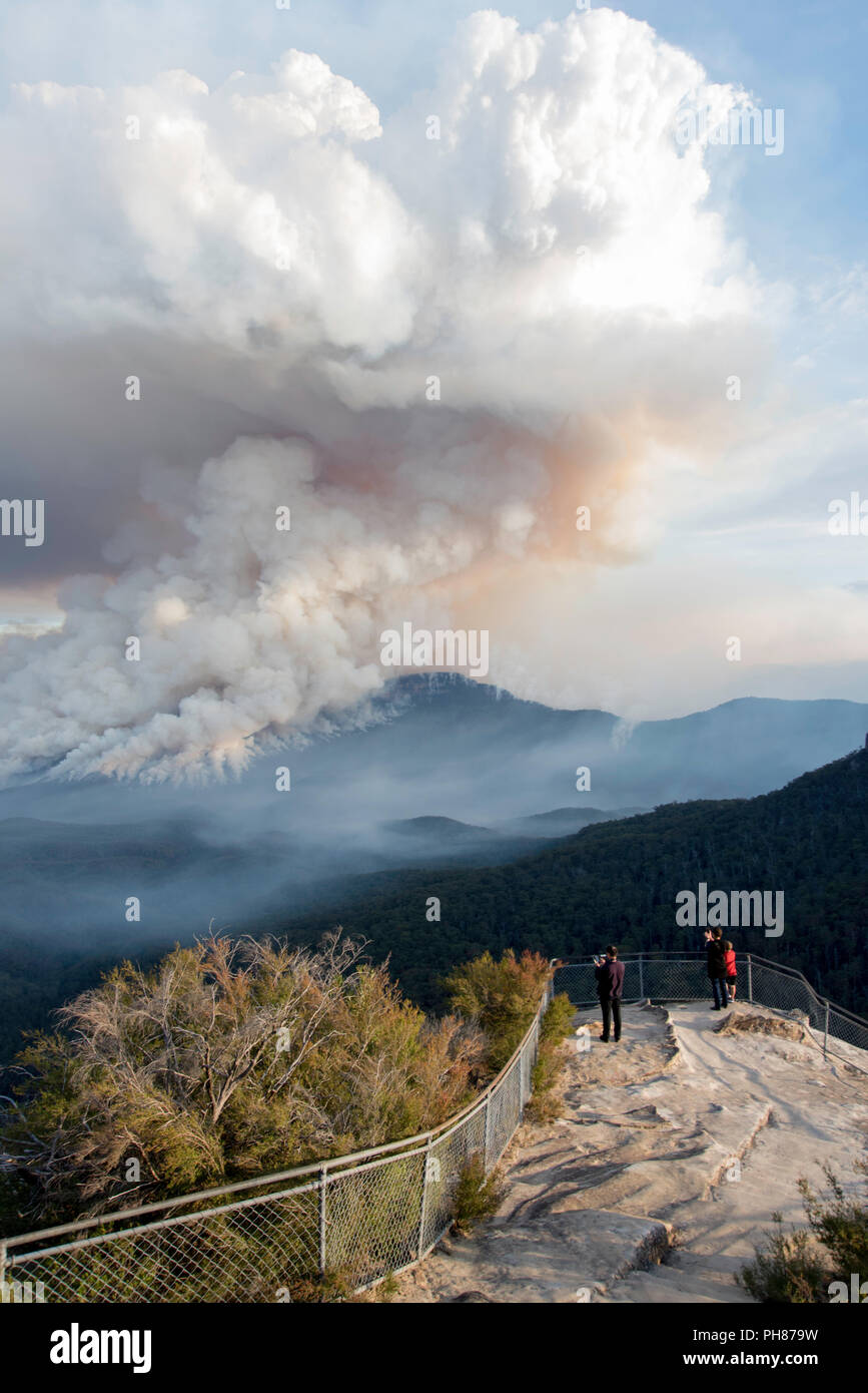 Verringerung der Brandgefahr am Mount Solitary, Blue Mountains, Australien Stockfoto