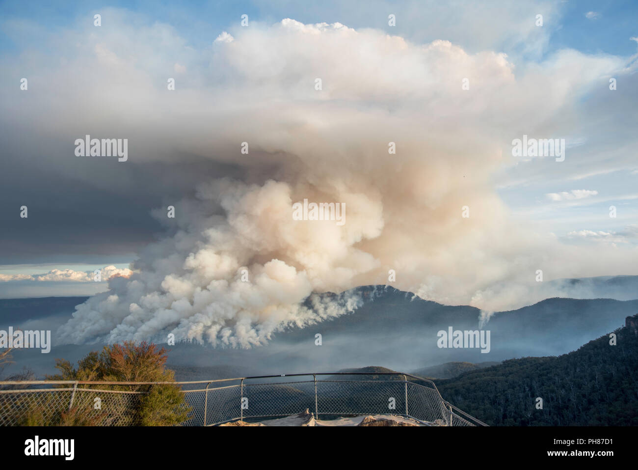 Verringerung der Brandgefahr am Mount Solitary, Blue Mountains, Australien Stockfoto