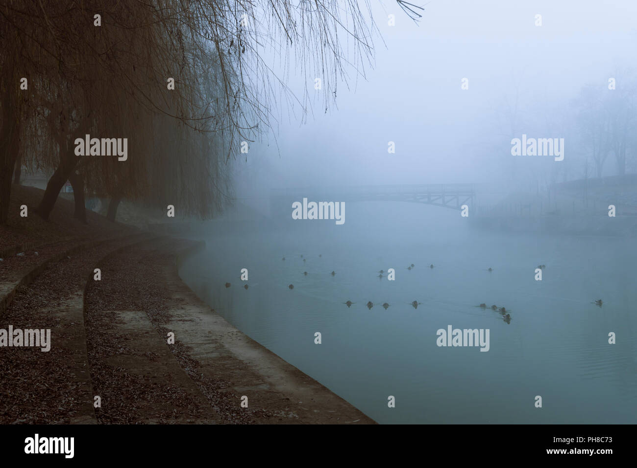 Kalten Jahreszeit Landschaft in Ljubljana, die slowenische Hauptstadt, mit dem Fluss Ljubljanica und seine Ufer mit einem dichten Nebel bedeckt. Stockfoto