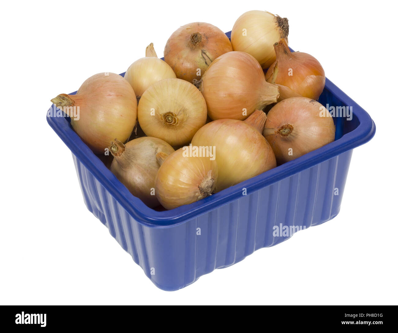 Zwiebel im Karton Stockfoto