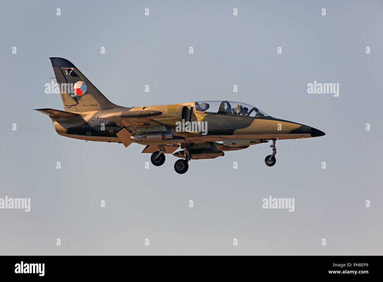 20. CIAF 2013: Aero L-39 Stockfoto