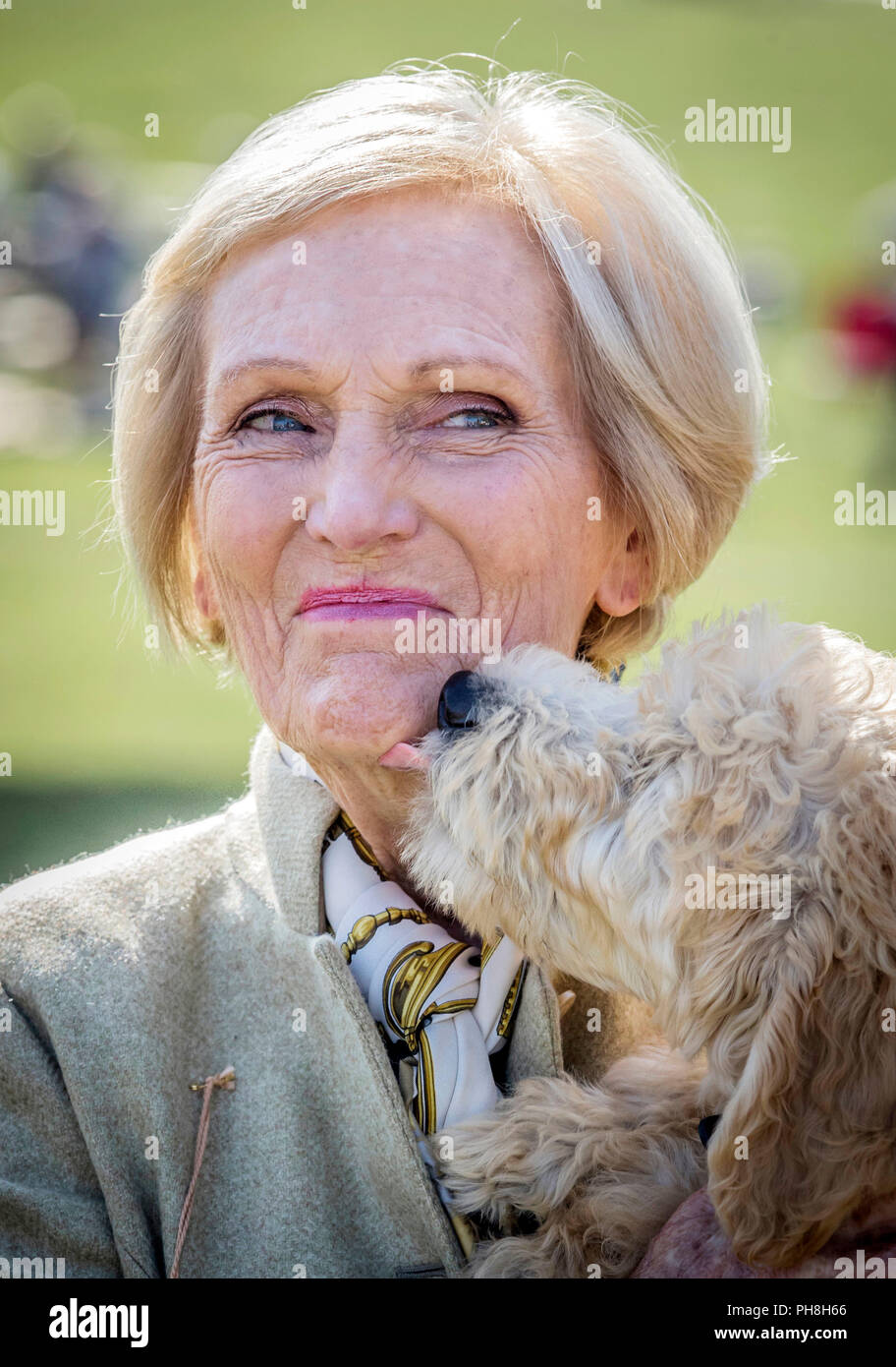 Country Fair Präsidentin Mary Berry ist von einem Hund Henry während des Chatsworth Volksfest in Bakewell, Derbyshire genannt leckte. Stockfoto