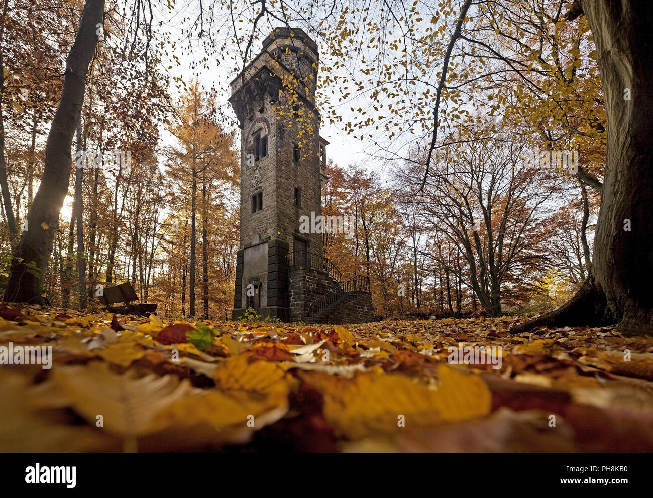 Die Von-der-Heydt-Turm, Herbst, Wuppertal Stockfoto