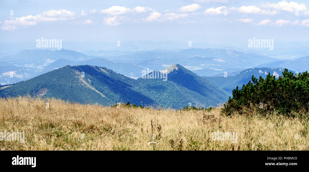 Trockene Almwiesen mit Blick auf bewaldete Gipfel und weit entfernte Täler im Nationalpark Malá Fatra in der Slowakei Stockfoto