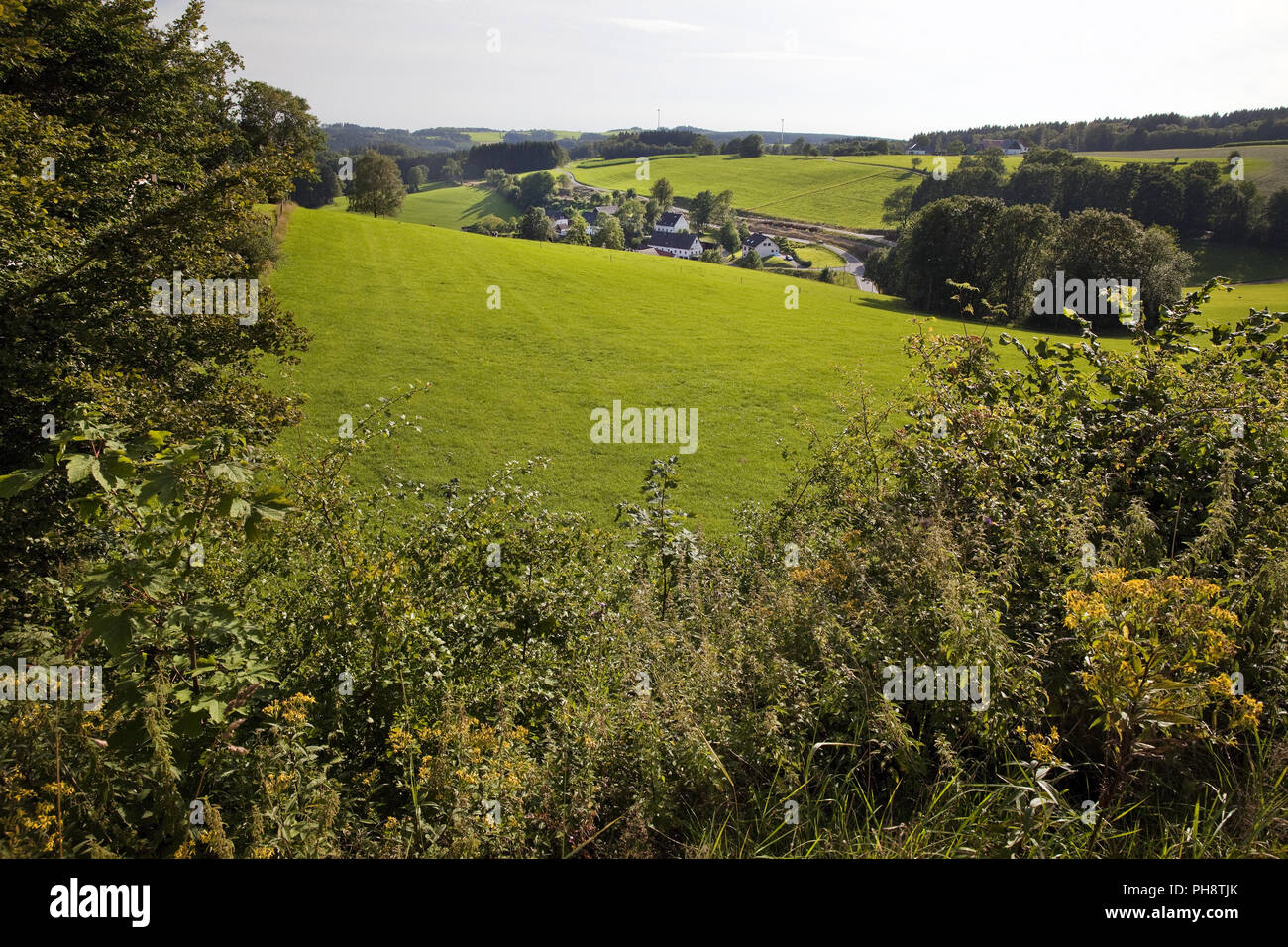 Landschaft, Meinerzhagen, Deutschland Stockfoto