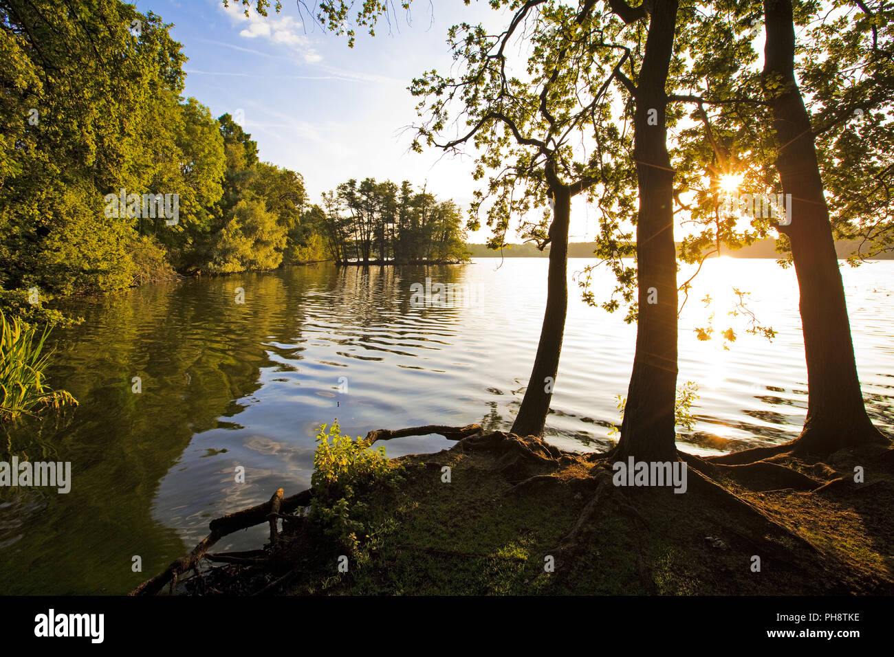 Glabbacher Bruch, Seen Krickenbeck, Nettetal Stockfoto