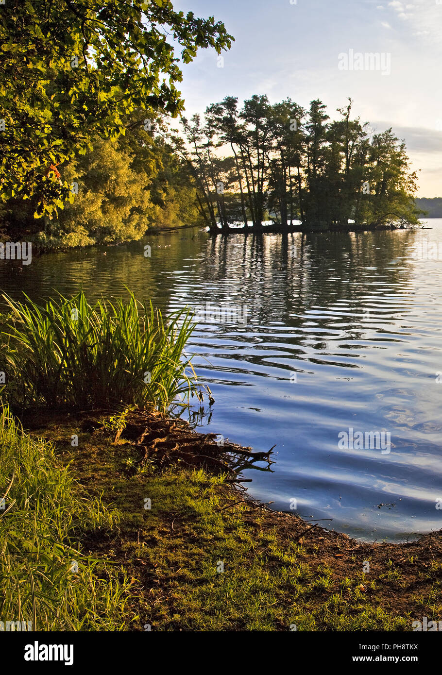 Glabbacher Bruch, Seen Krickenbeck, Nettetal Stockfoto