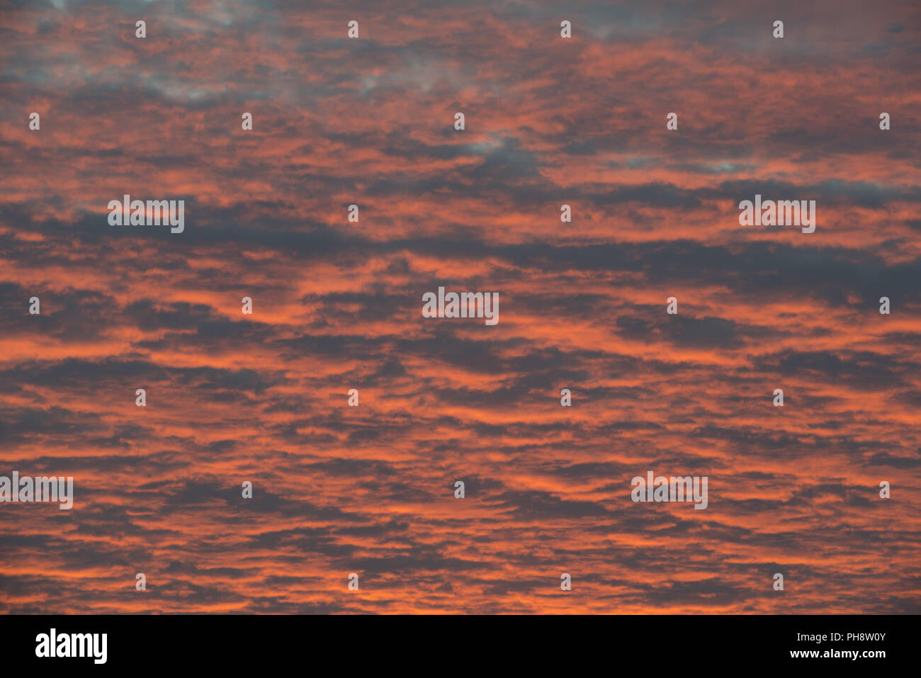 Abstrakt rot und orange gefärbten Himmel bei Sonnenaufgang Stockfoto