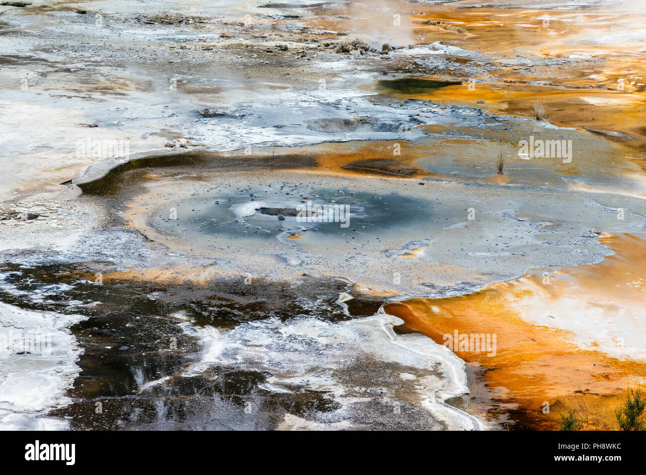 Artist's Palette, Orakei Korako geothermischen Park, NZ Stockfoto
