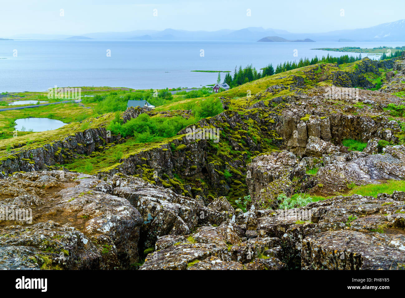 Island Sommer Landschaft im Nationalpark Thingvellir Stockfoto