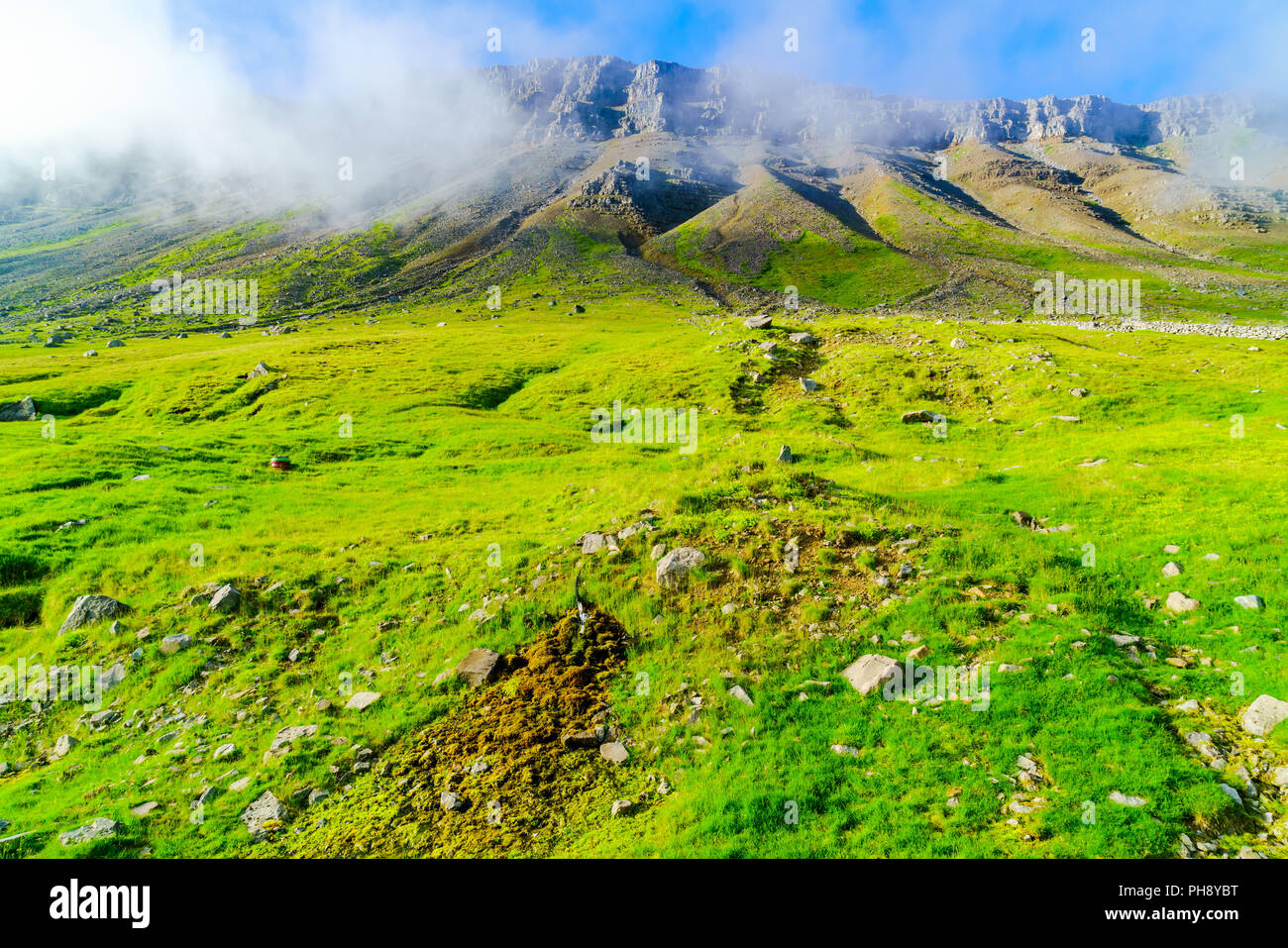 Blick auf die Berge und das grüne Feld von Island Stockfoto