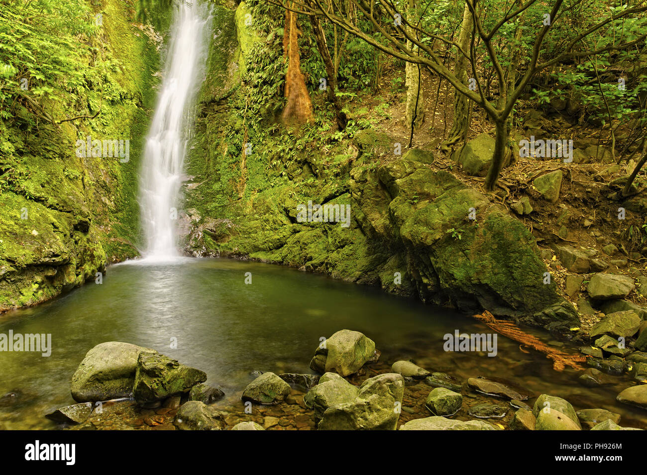 Wasserfall am Oahu Suche Stockfoto