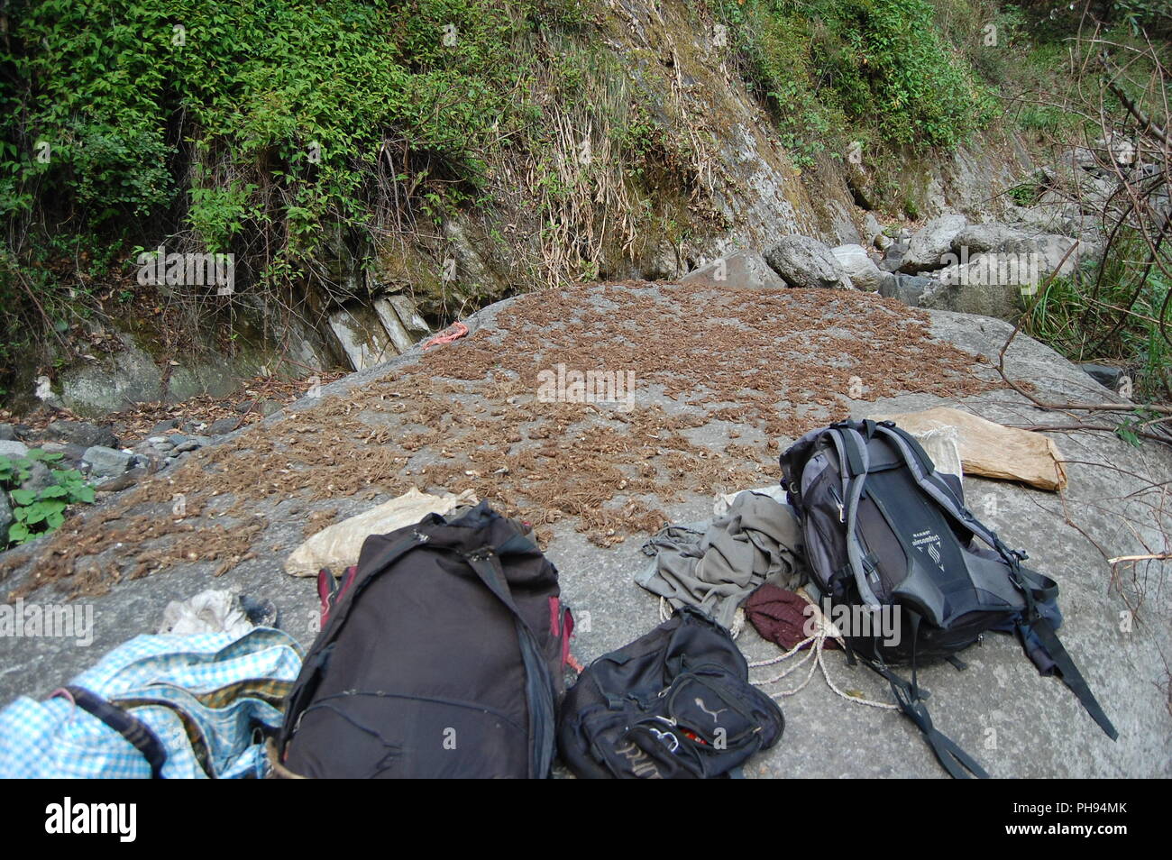 Weit westlichen Nepal Stockfoto