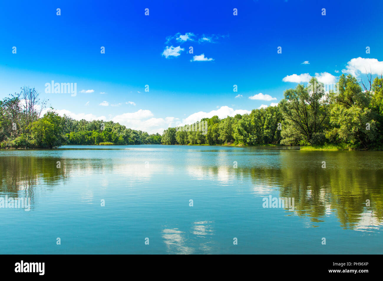 Naturpark Kopacki Rit in Slawonien, Kroatien, beliebtes Touristenziel und Vögel Reservierung Stockfoto