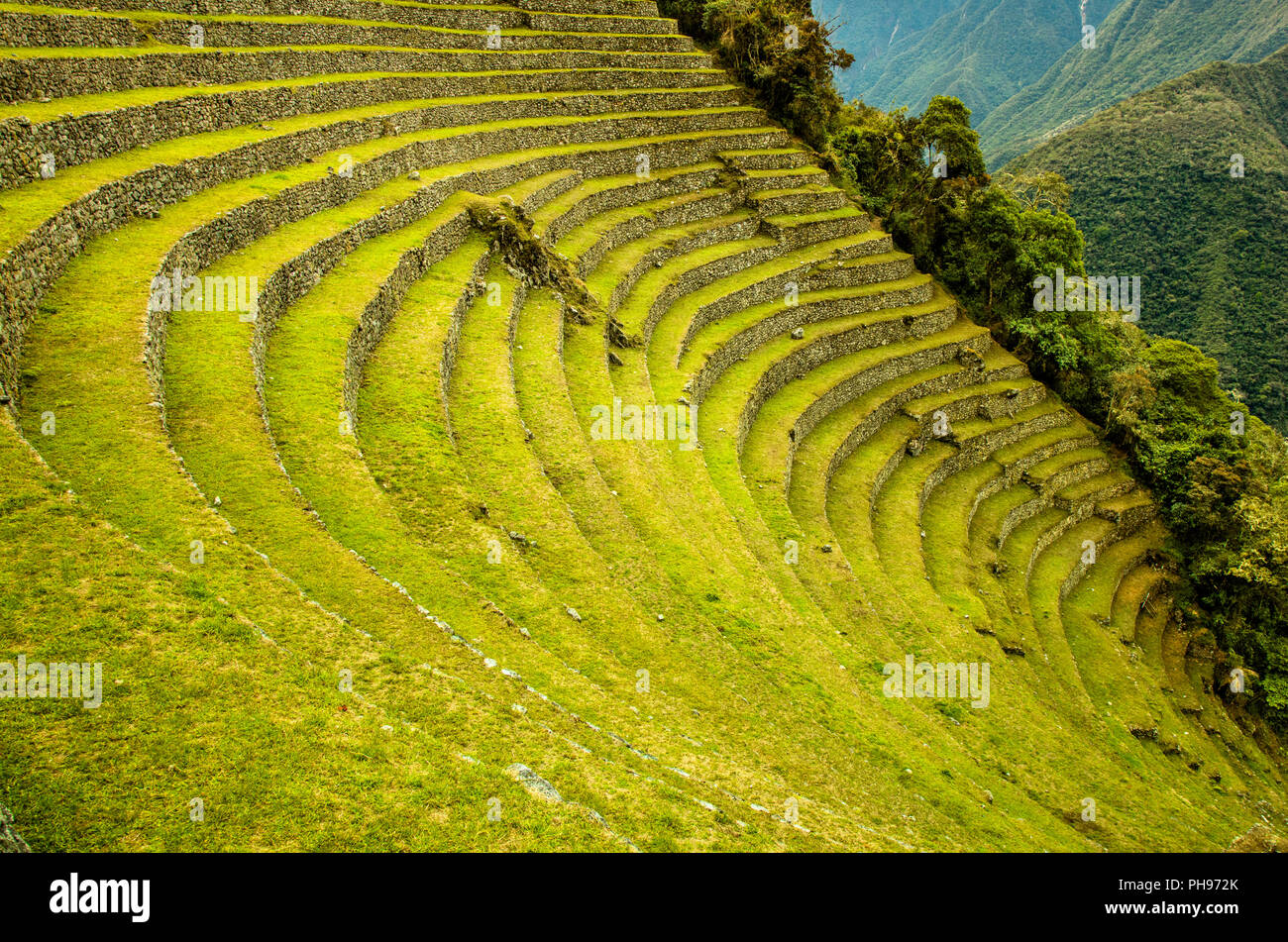 Die Inka-ruinen von Winay Wayna, einschließlich der landwirtschaftlichen Terrassen und seines Mikroklimas,, entlang der Inka Trail nach Machu Picchu. Heilige Tal, Peru Stockfoto