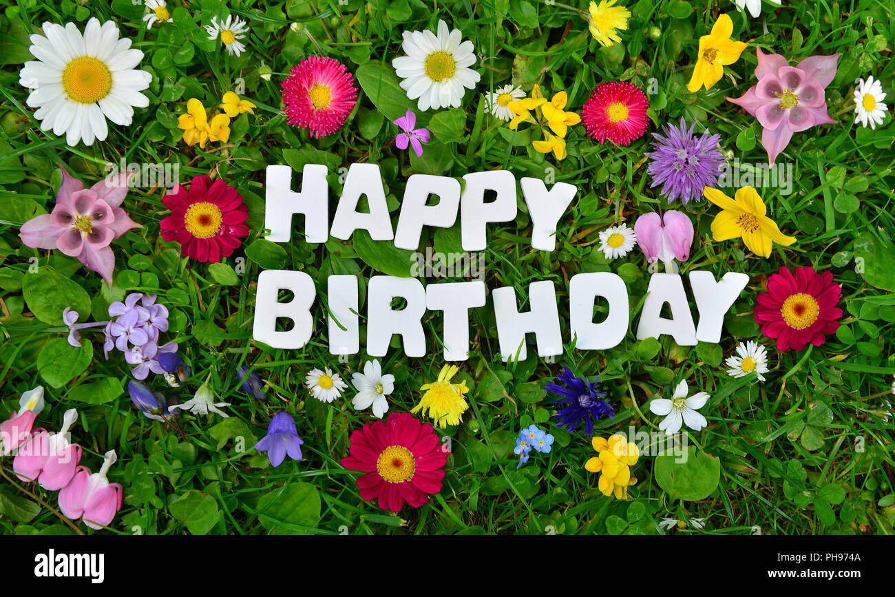 Alles Gute zum Geburtstag text auf Blumenwiese Stockfotografie Alamy