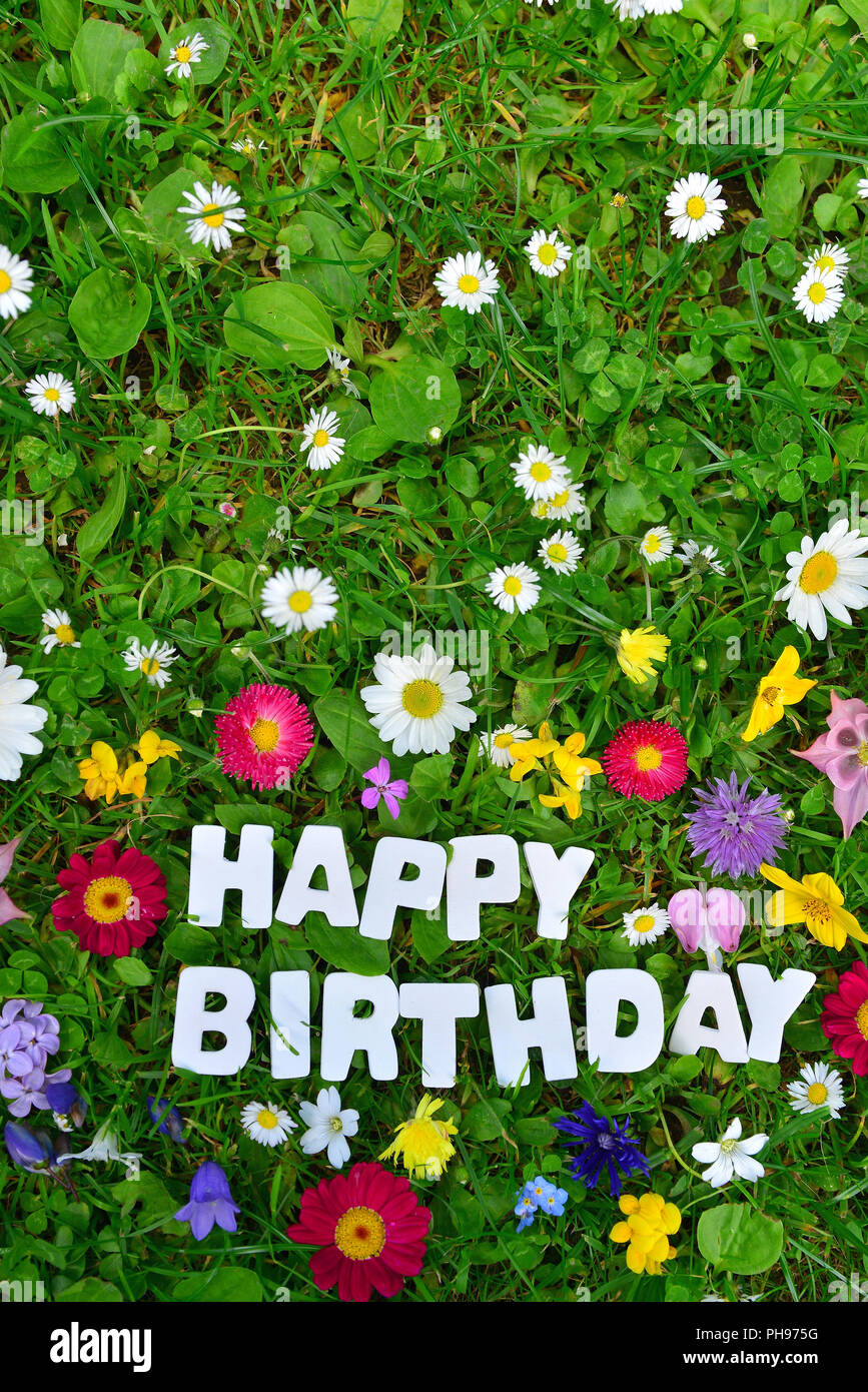 Alles Gute zum Geburtstag text auf Blumenwiese Stockfotografie Alamy
