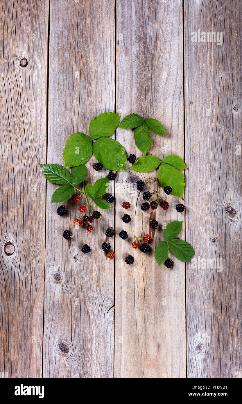 Organische wilden Brombeeren auf die beanspruchte Holzbretter Stockfoto