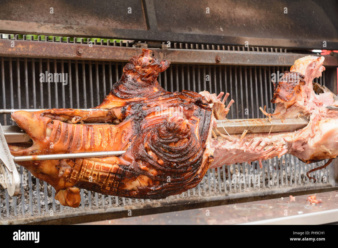 Suckling pig on barbecue grill -Fotos und -Bildmaterial in hoher Auflösung  – Alamy