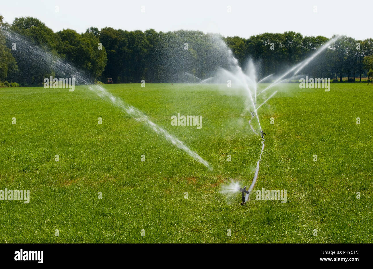 Die Bewässerung von Grünland in einer Zeit der Dürre im Sommer in den Niederlanden Stockfoto