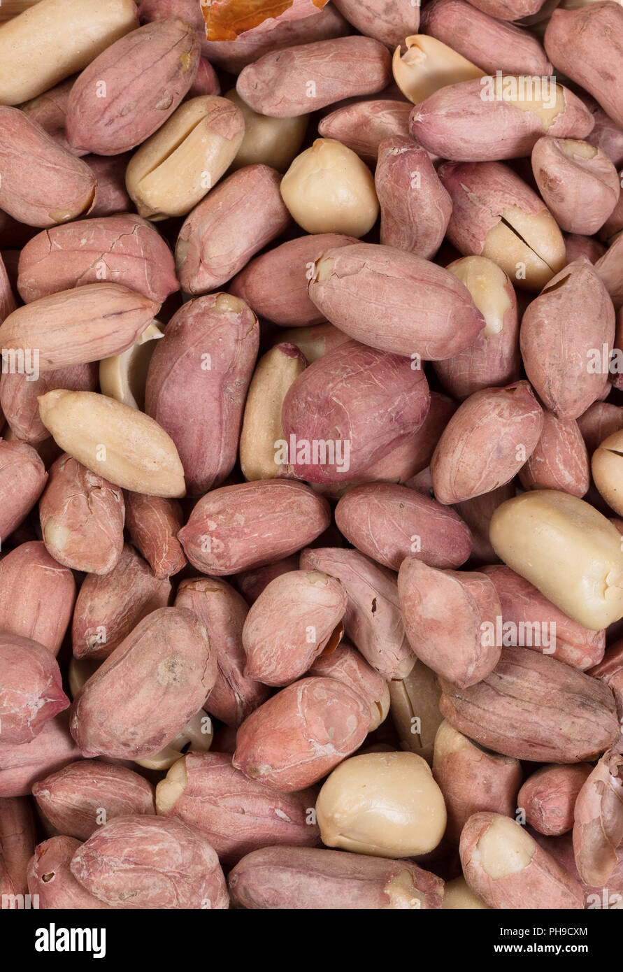 Geröstete Erdnüsse ausgefüllt Frame Format Stockfoto